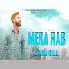 About Mera Rab Song